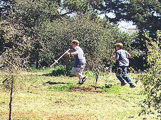 Boys at Los Carneros