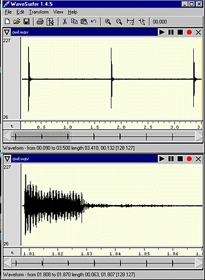 Owl tag waveforms