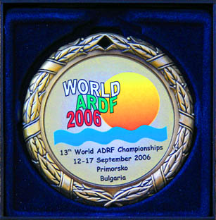 WC2006 medal