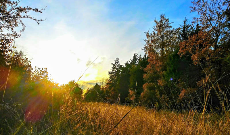 Cooper Lake Park