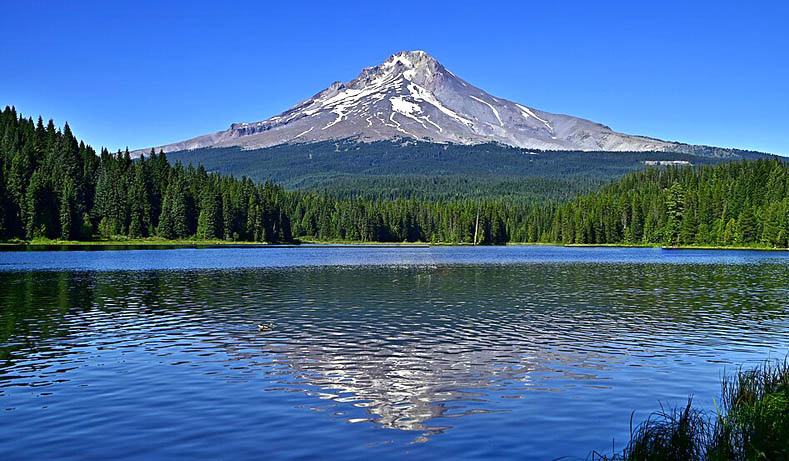 Mt. Hood